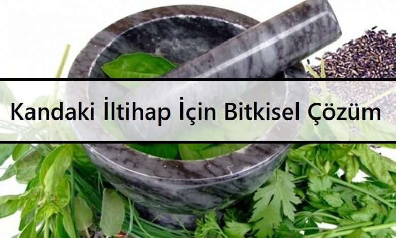 Kandaki İltihap İçin Bitkisel Çözüm