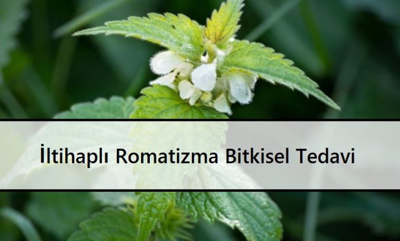 İltihaplı Romatizma Bitkisel Tedavi