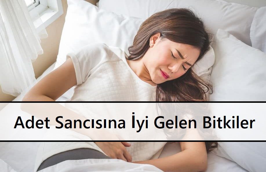 Adet Sancısına İyi Gelen Bitkiler