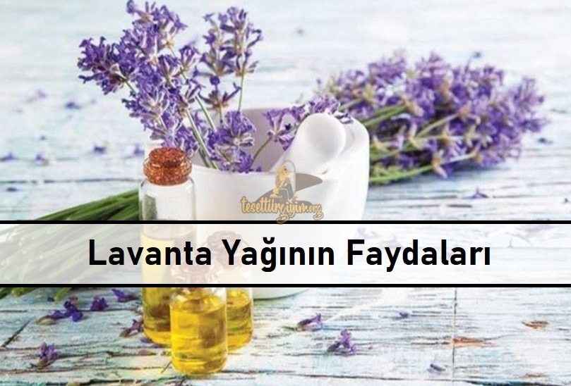 Lavanta Yağının Faydaları